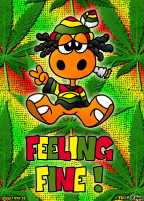 Feeling Fine!