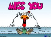 Miss you